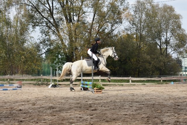 bABIE lATO 2018